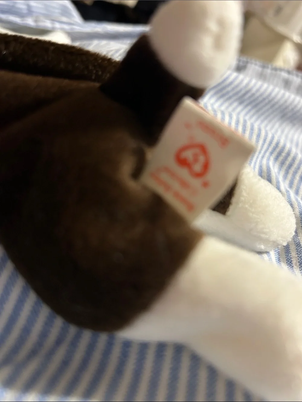 Ty Plush Guinea Pig in Brown and White with Heart Tag
